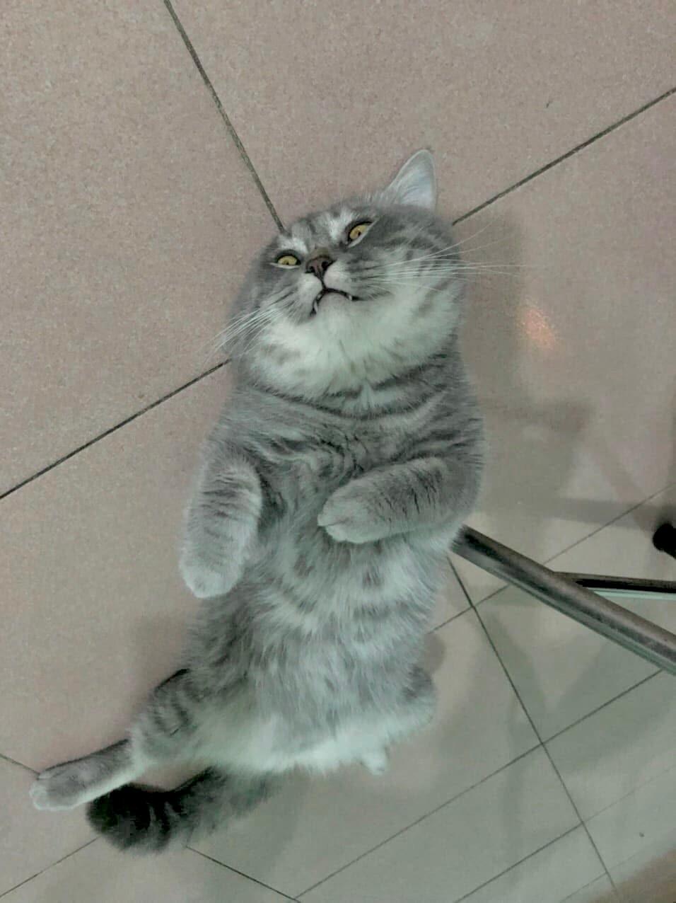 Người Đổ Dầu